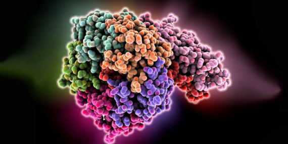 Toksin Çeşitleri ve Sağlığımıza Etkileri